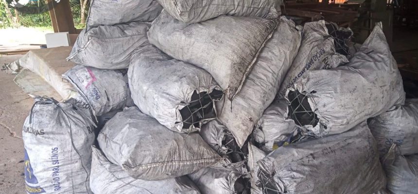 O condutor de uma caminhonete tentou fugir de uma fiscalização ambiental e acabou sendo interceptado com 39 sacas de carvão vegetal, transportado ilegalmente, na segunda-feira (21/04), no km 105 da rodovia AM-010, em Rio Preto da Eva (distante 57 quilômetros de Manaus). A ação foi realizada pelo Instituto de Proteção Ambiental do Amazonas (Ipaam), com apoio do Comando de Policiamento Ambiental (CPAmb) da Polícia Militar do Amazonas, por meio do Batalhão de Policiamento Ambiental (BPAmb).