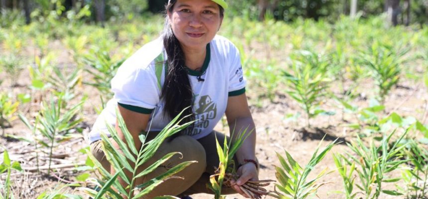 A Secretaria de Estado de Produção Rural (Sepror), em parceria com o Serviço Brasileiro de Apoio às Micro e Pequenas Empresas (Sebrae Amazonas), realiza, neste sábado (05/07), no município de Rio Preto da Eva (a 57 quilômetros de Manaus), o Dia de Campo com foco na regularização fundiária rural.